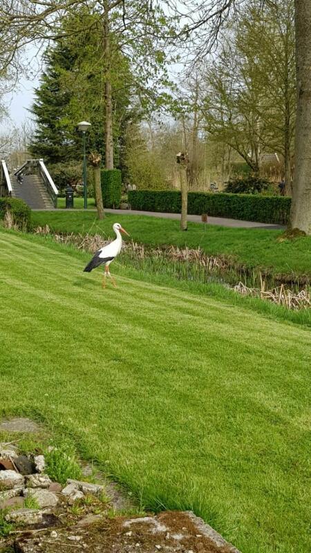 Farmhouse Lodge Giethoorn Bagian luar foto